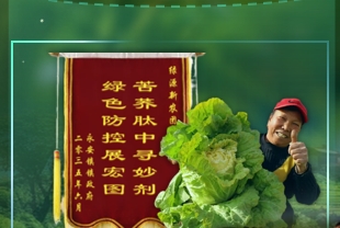 小杂粮里的“绿色密码”：绿源新农以科技赋能乡村振兴(图5)