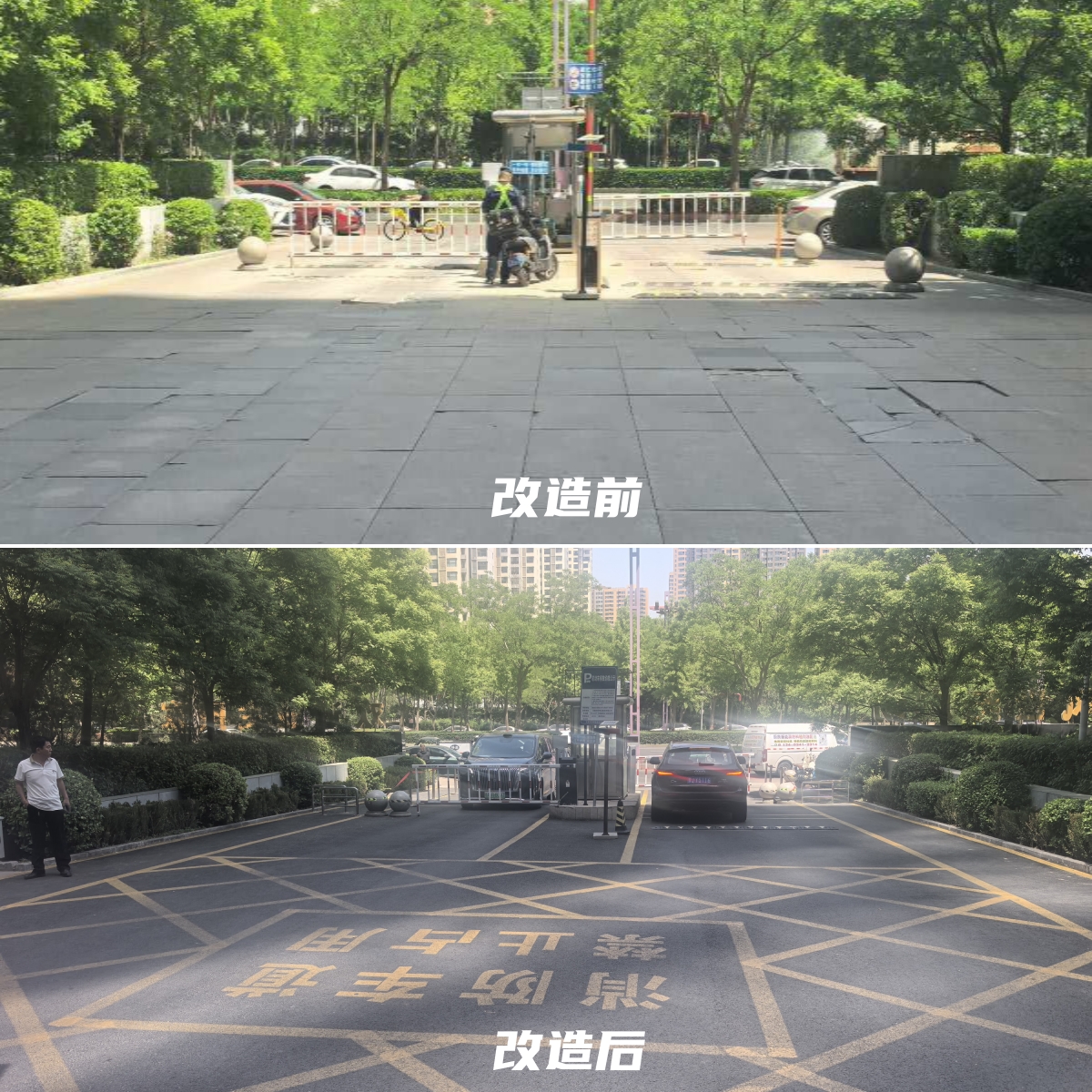 业委会牵头换物业！太原万柏林两大社区家园蝶变、房价走高(图6)